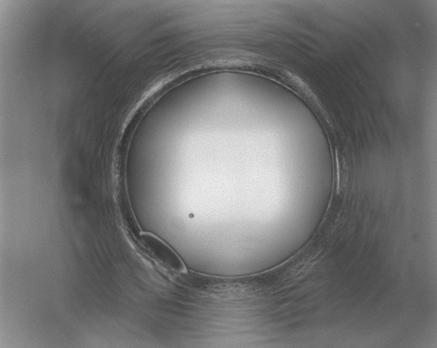 X0000052980435200508051045