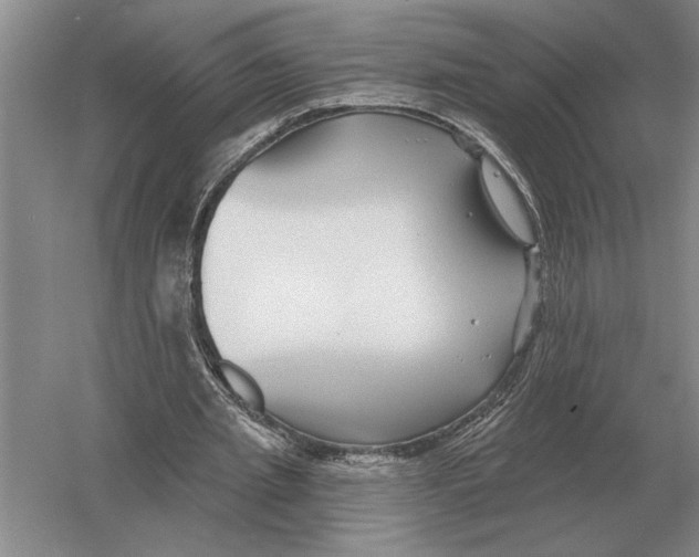 X0000052980437200508051045