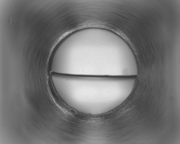 X0000052980438200508051045