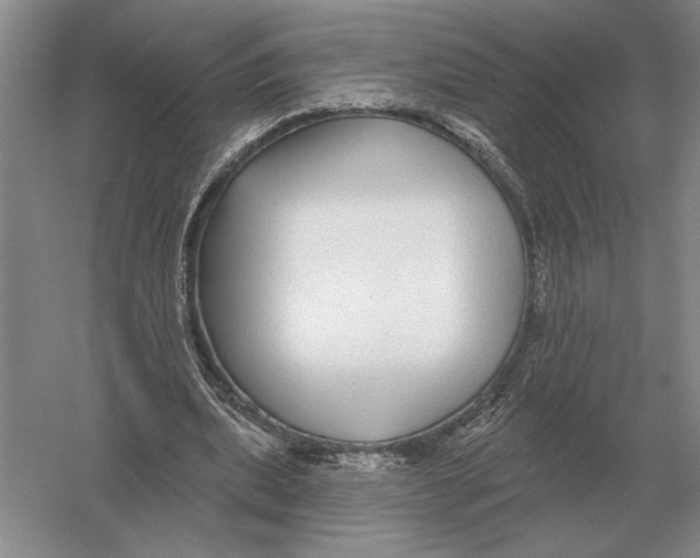 X0000052980439200508051045