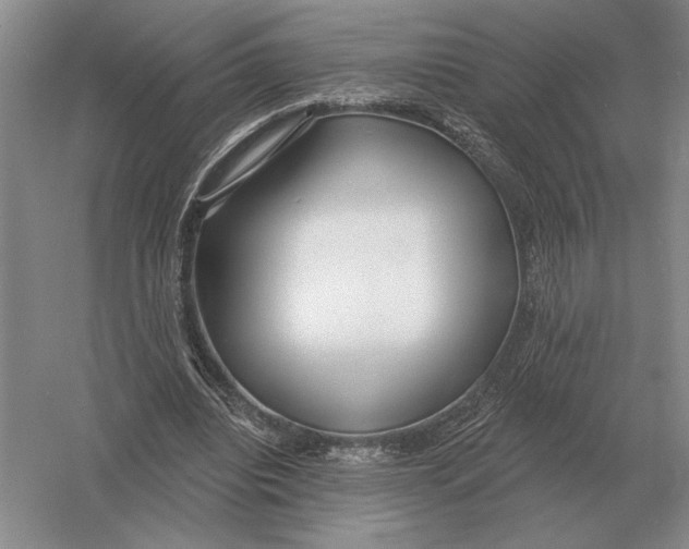 X0000052980440200508051045