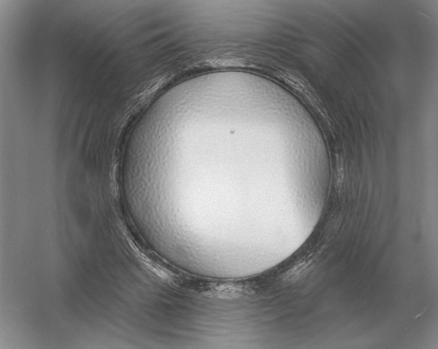 X0000052980441200508051045