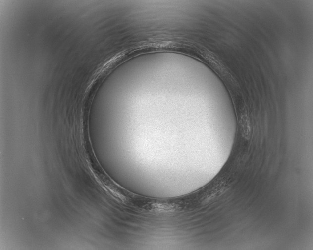 X0000052980442200508051045