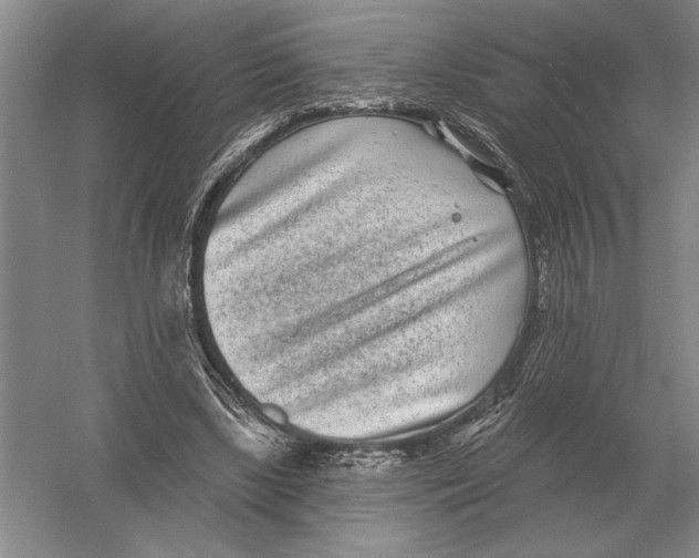 X0000052980443200508051045