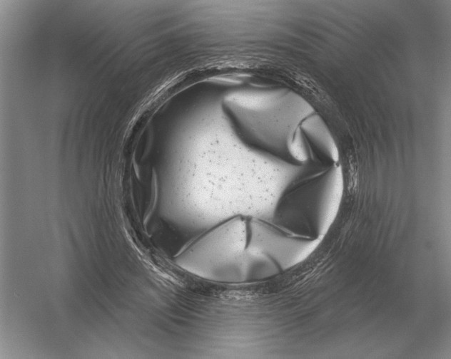 X0000052980444200508051045