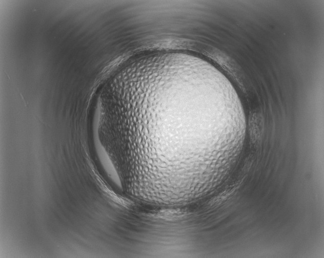 X0000052980445200508051045