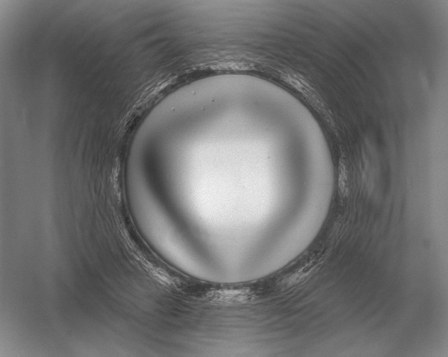 X0000052980449200508051045