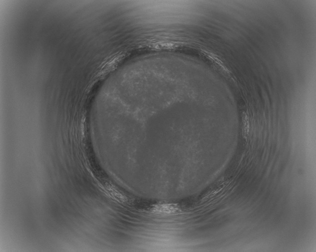 X0000052980451200508051045