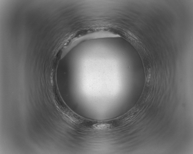 X0000052980452200508051045