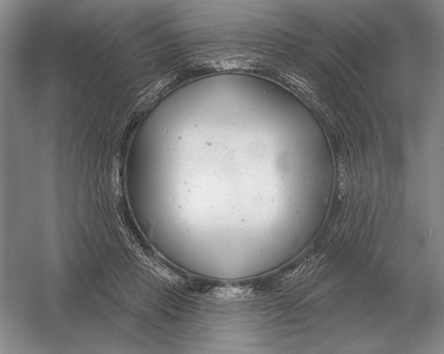 X0000052980453200508051045