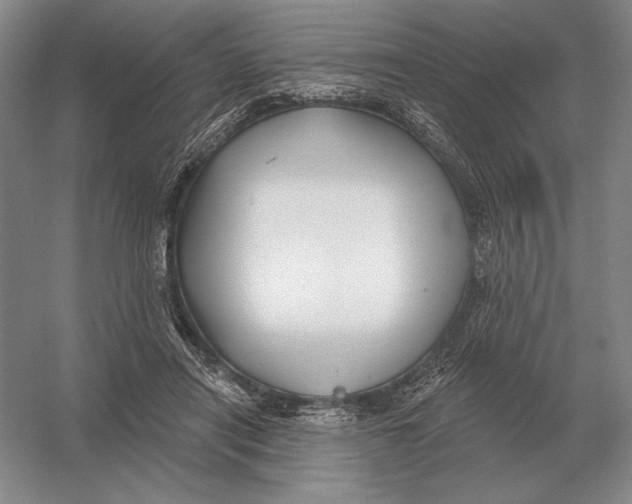 X0000052980454200508051045