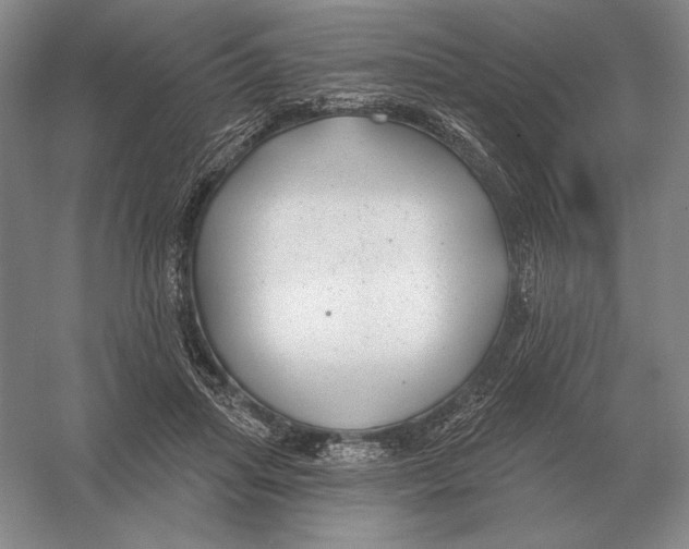 X0000052980455200508051045