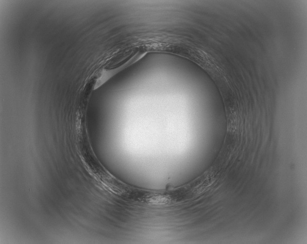 X0000052980456200508051045