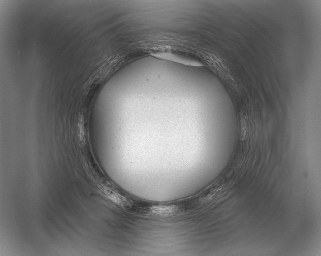 X0000052980457200508051045