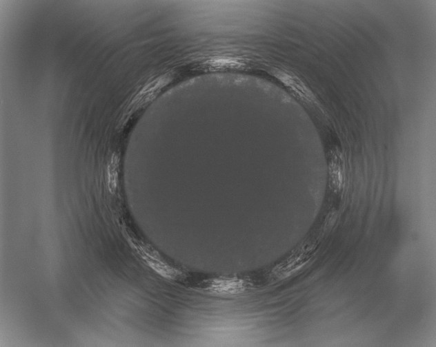 X0000052980458200508051045