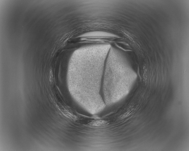 X0000052980459200508051045