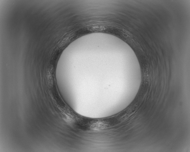 X0000052980460200508051045