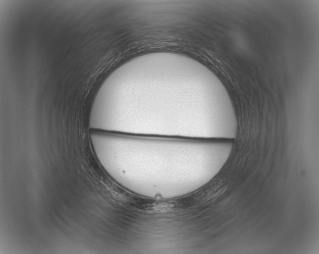 X0000052980462200508051045