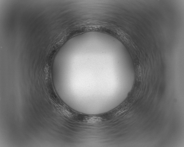 X0000052980463200508051045