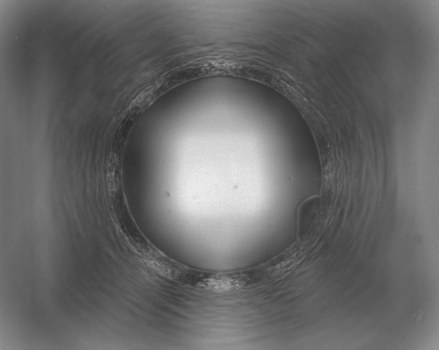 X0000052980464200508051045