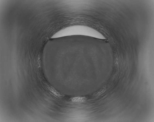 X0000052980465200508051045