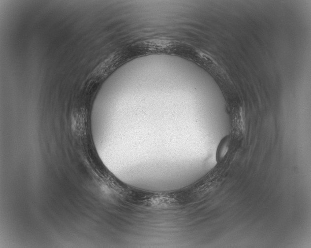 X0000052980468200508051045