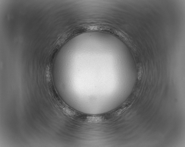 X0000052980469200508051045