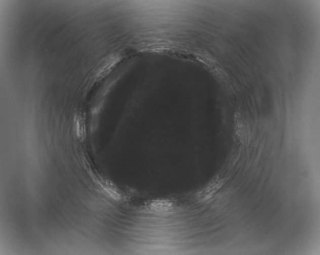 X0000052980471200508051045