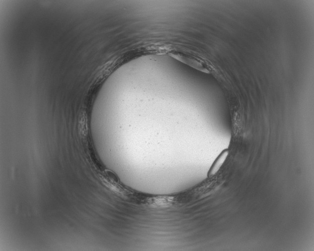 X0000052980474200508051045