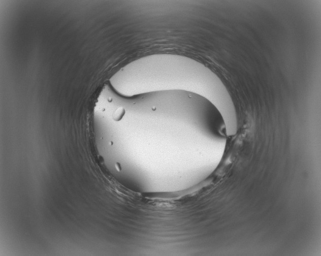 X0000052980475200508051045