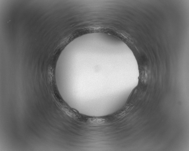 X0000052980476200508051046