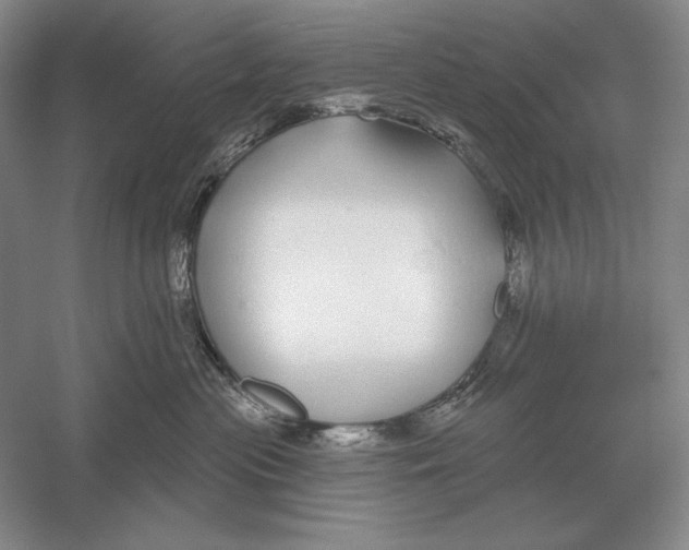 X0000052980477200508051046