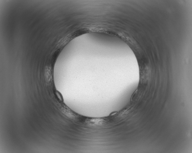 X0000052980478200508051046