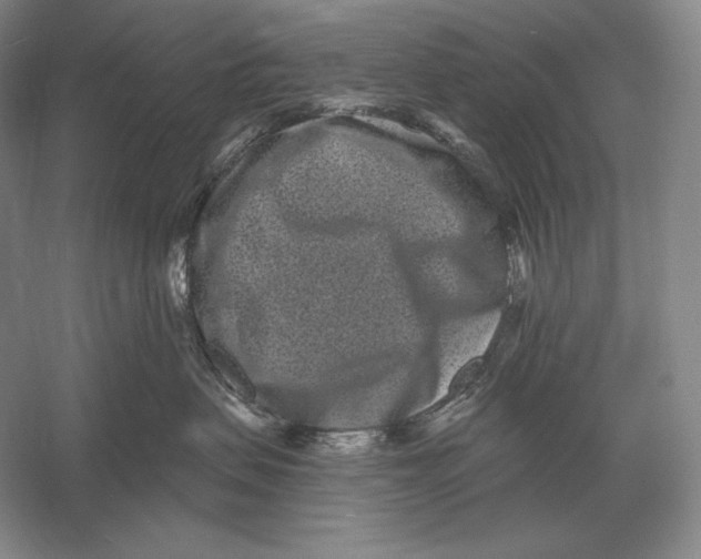 X0000052980479200508051046