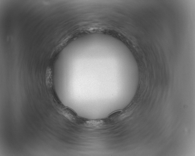 X0000052980480200508051046