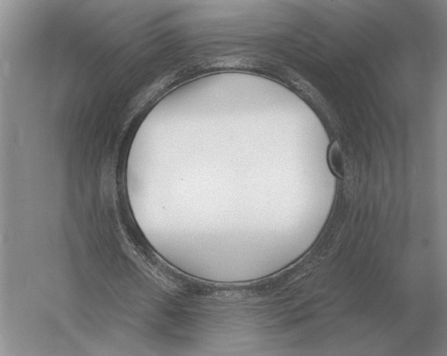 X0000052980482200508051045