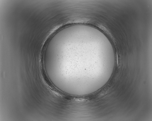 X0000052980483200508051045