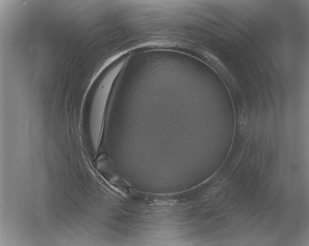 X0000052980484200508051045