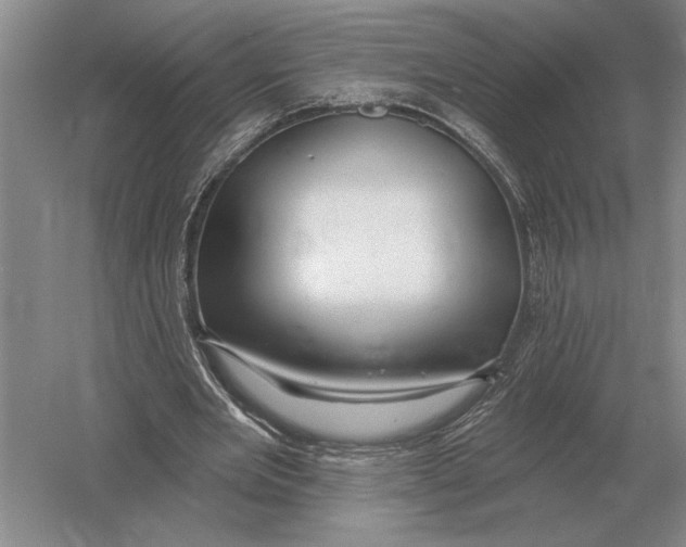 X0000052980485200508051045