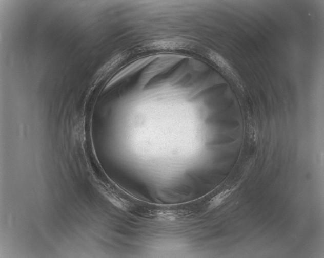 X0000052980486200508051045