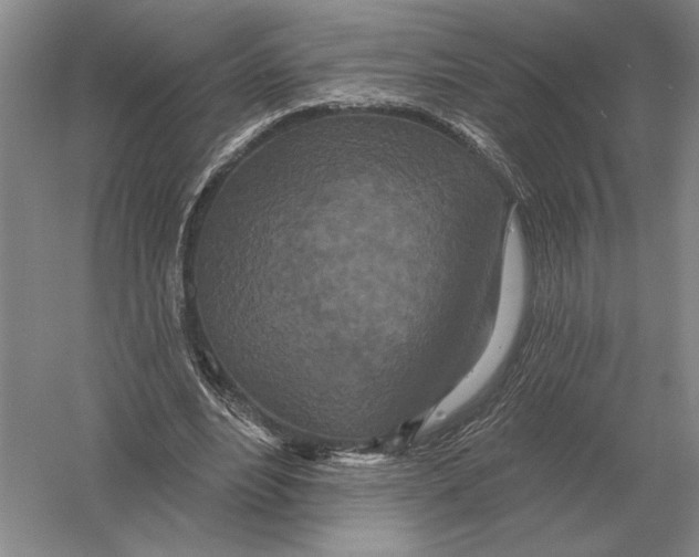 X0000052980488200508051045