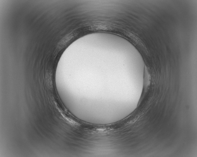 X0000052980489200508051045