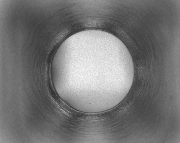 X0000052980490200508051045