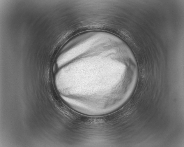 X0000052980491200508051045