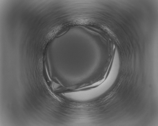 X0000052980493200508051045