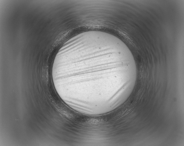 X0000052980494200508051045