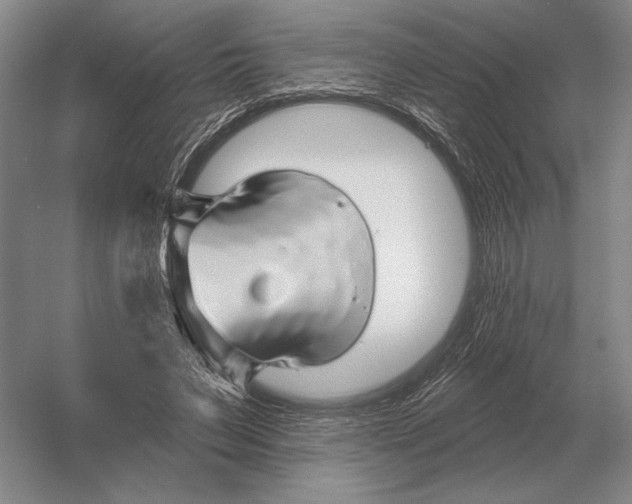 X0000052980495200508051045