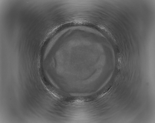 X0000052980496200508051045