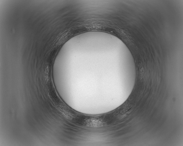 X0000052980498200508051044