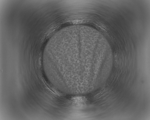 X0000052980499200508051044